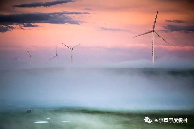 1560564756.jpg 3.webp (1).jpg