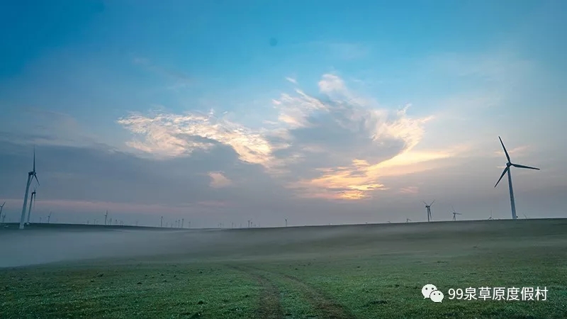 1560564772.jpg 4.webp.jpg