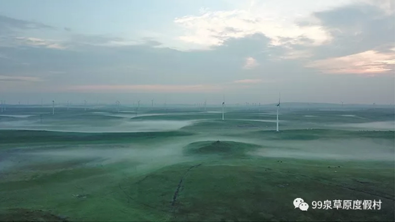 1560565038.jpg 000.jpg