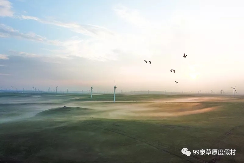 1560565169.jpg 111.webp.jpg