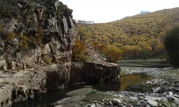 1565596318855127.jpg 微信圖片_20190812154023.jpg