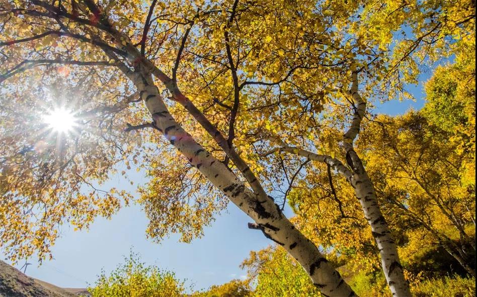 1571283785371622.jpg 微信圖片_20191017113529.jpg