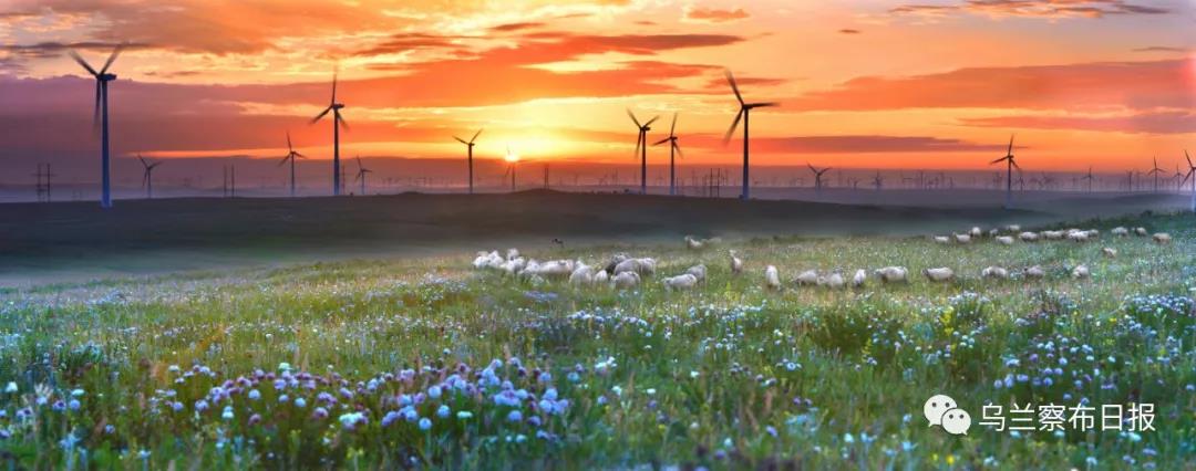 1571283946221054.jpg 微信圖片_20191017113624.jpg