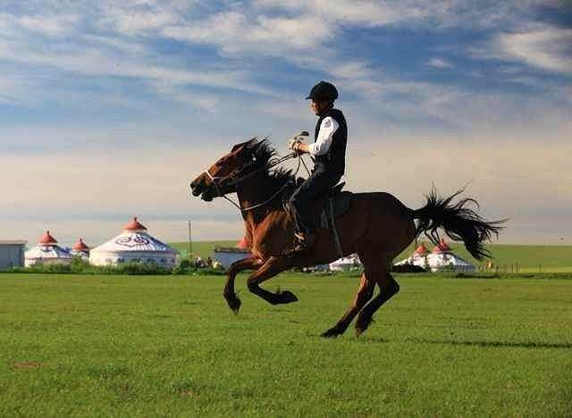 1560585360.jpg 微信圖片_20190610143124.jpg