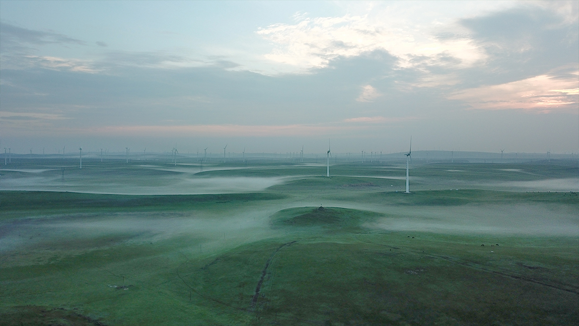 1598493394656234.jpg 8.jpg