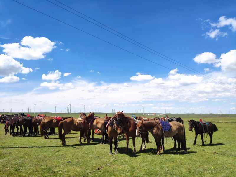 1624871927309398.png 圖片24.png